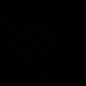 Meet your Posher, Max